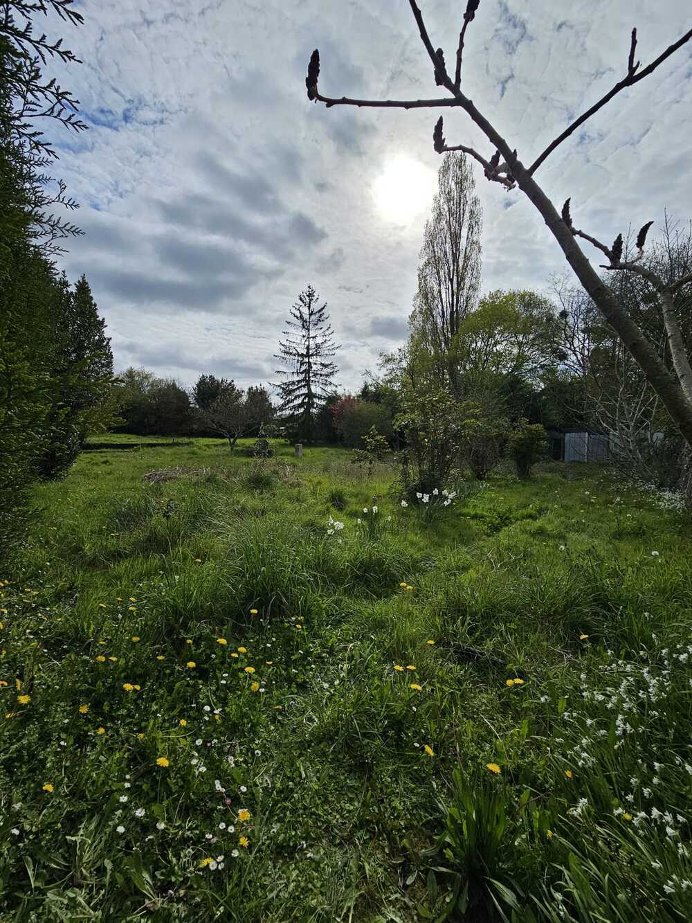 Property view 4