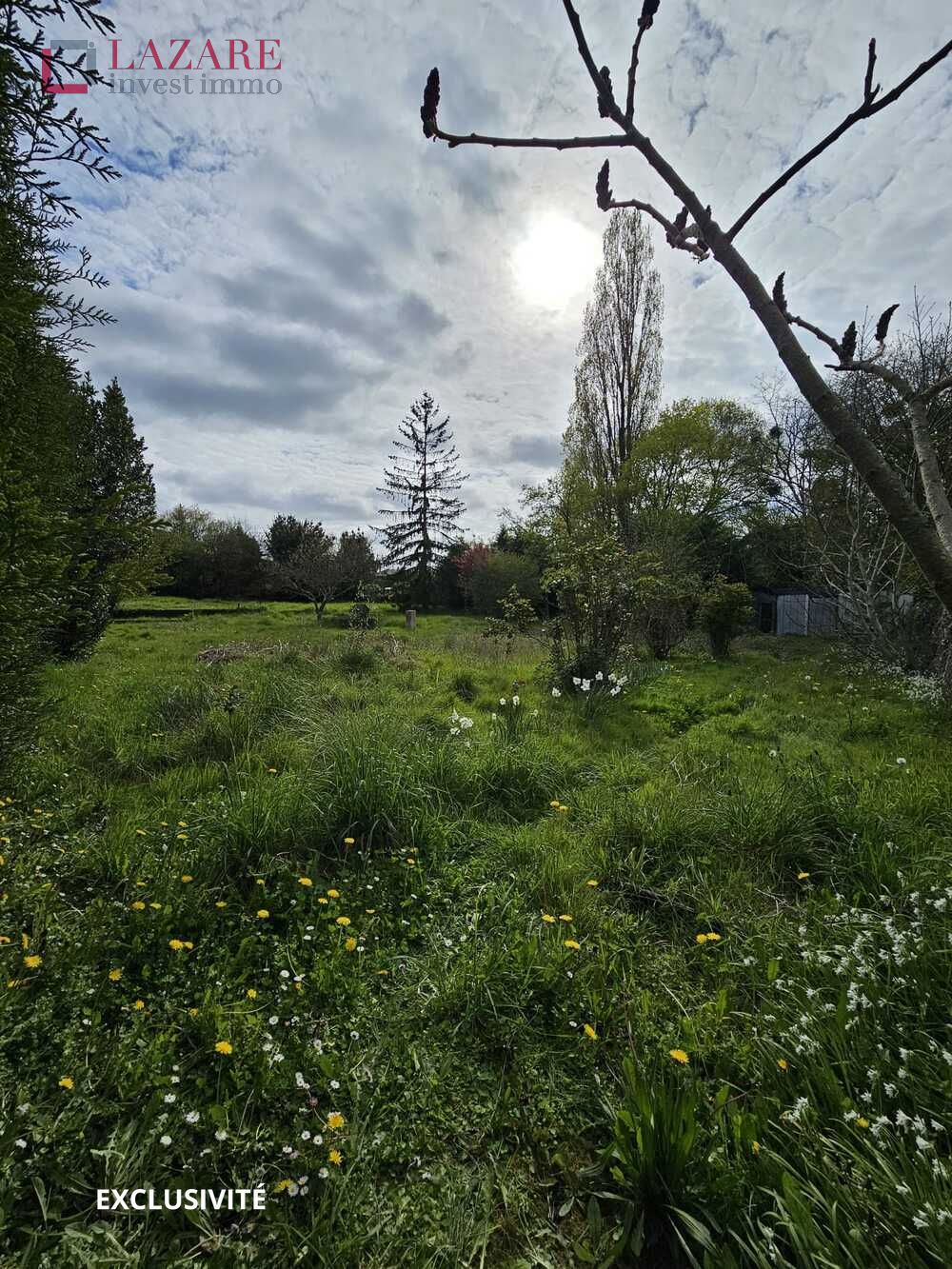 Property view 3
