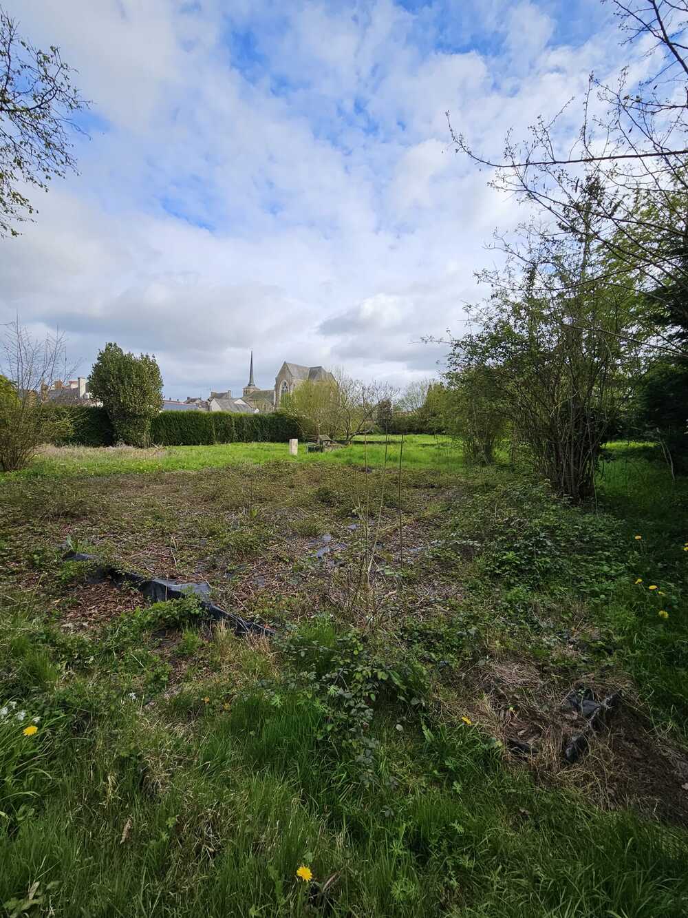 terrain 0 pièce à erdre-en-anjou · 98 920 €